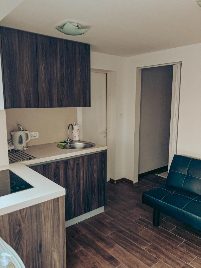 Apartments Ivanovic Idrija Extérieur photo