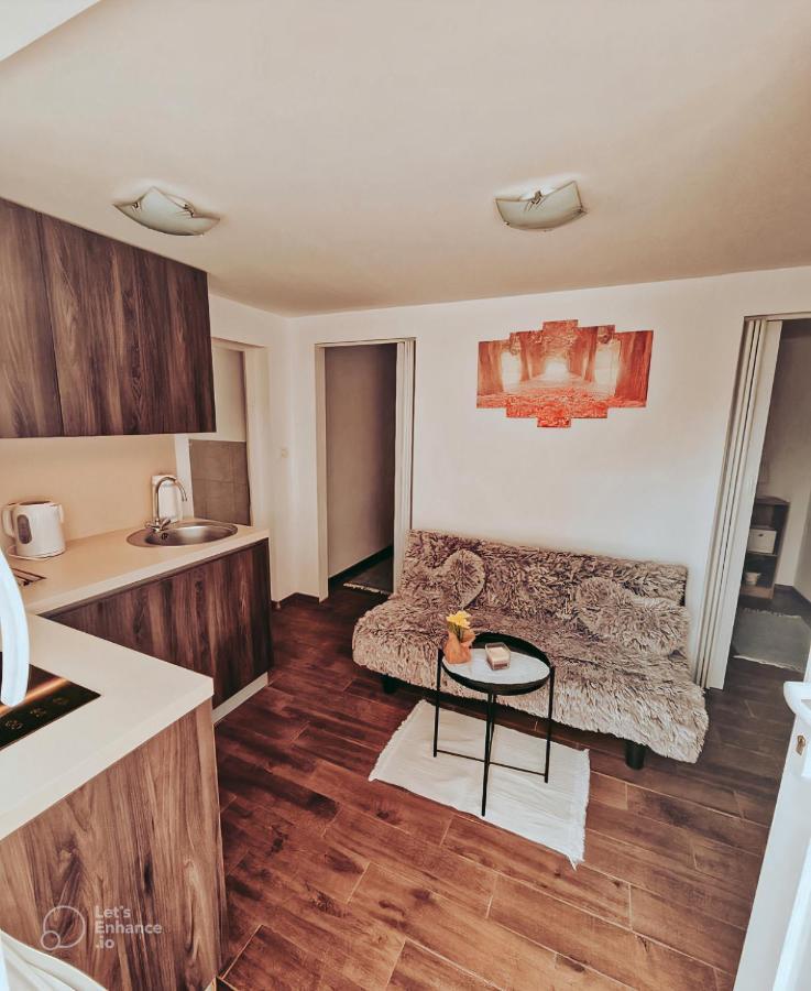 Apartments Ivanovic Idrija Extérieur photo