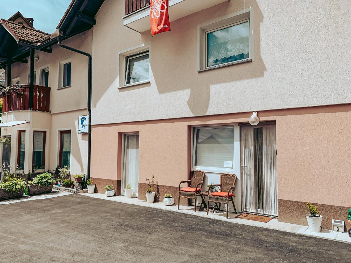Apartments Ivanovic Idrija Extérieur photo